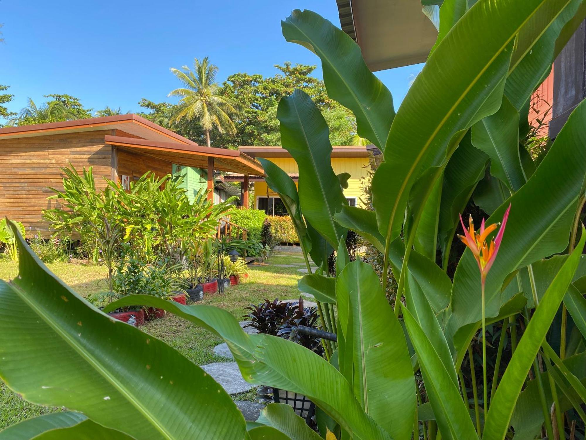 Coconut Lanta Resort @Klong Dow Beach 끄라비 외부 사진